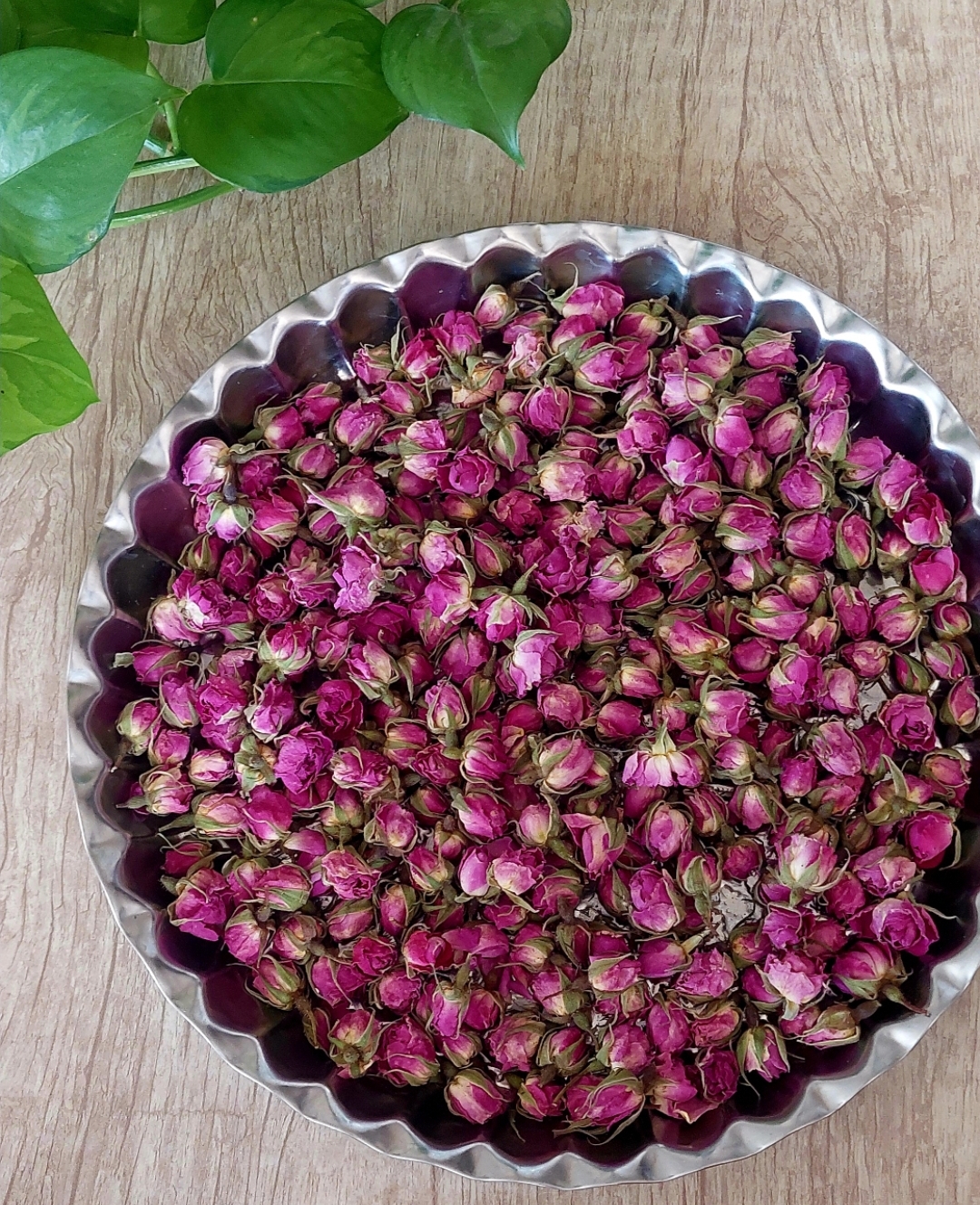 غنچه گل محمدی محلی صدگرمی