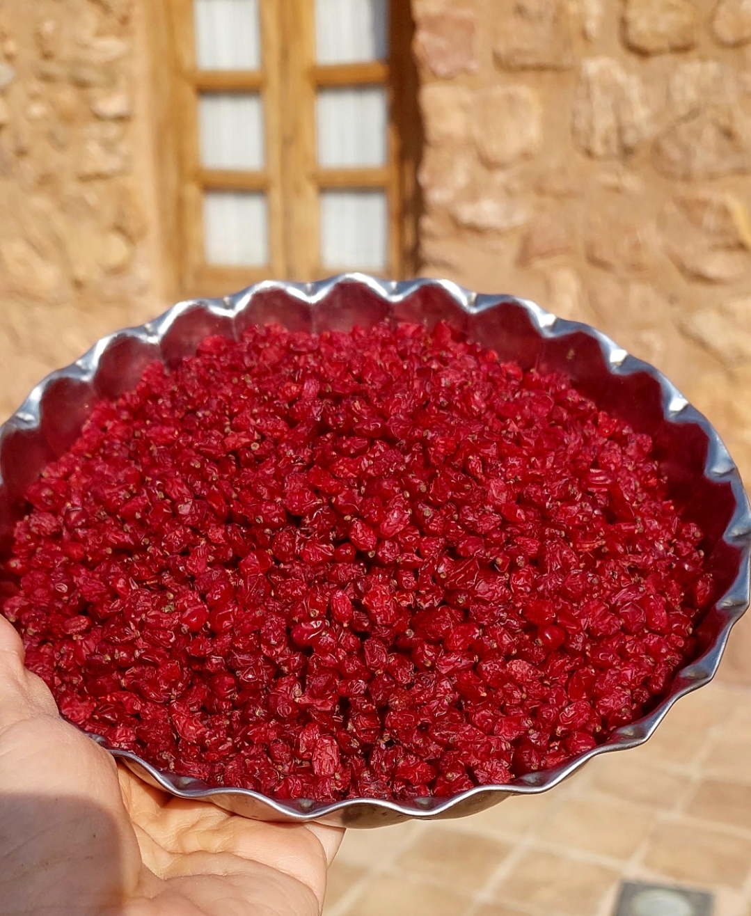 زرشک دونه اناری نیم کیلویی